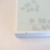 Coffret P'tit Lion Devient Grand - coffret abîmé 2 – Image 2
